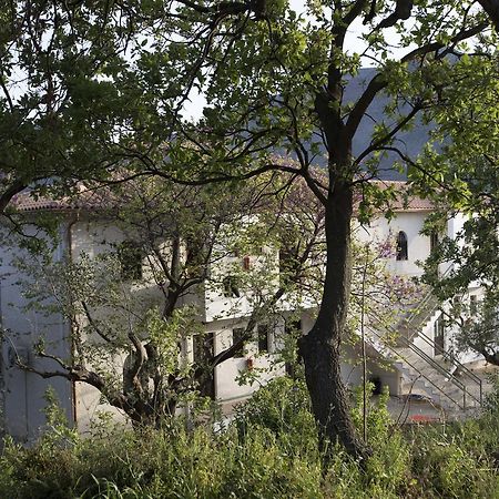 Kavoulakos Studios Skoutárion Dış mekan fotoğraf