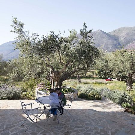Kavoulakos Studios Skoutárion Dış mekan fotoğraf