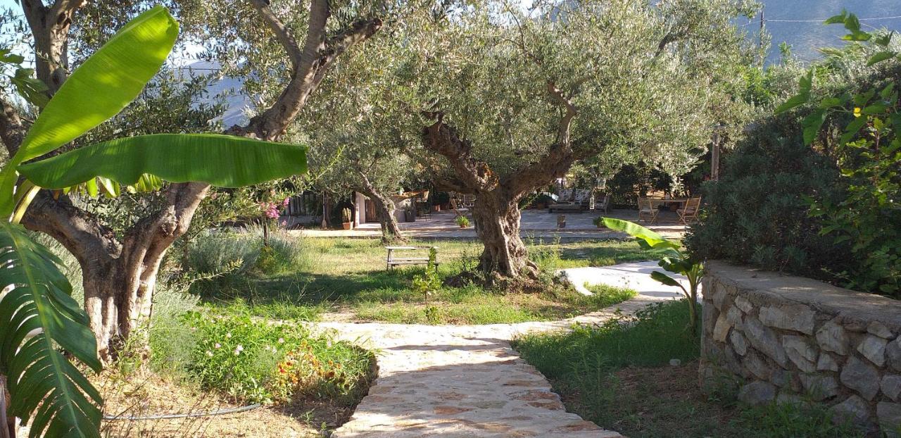 Kavoulakos Studios Skoutárion Dış mekan fotoğraf