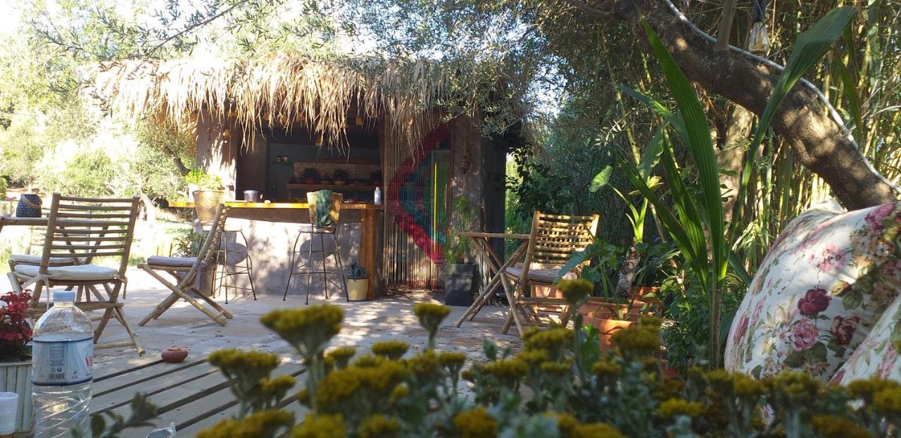 Kavoulakos Studios Skoutárion Dış mekan fotoğraf