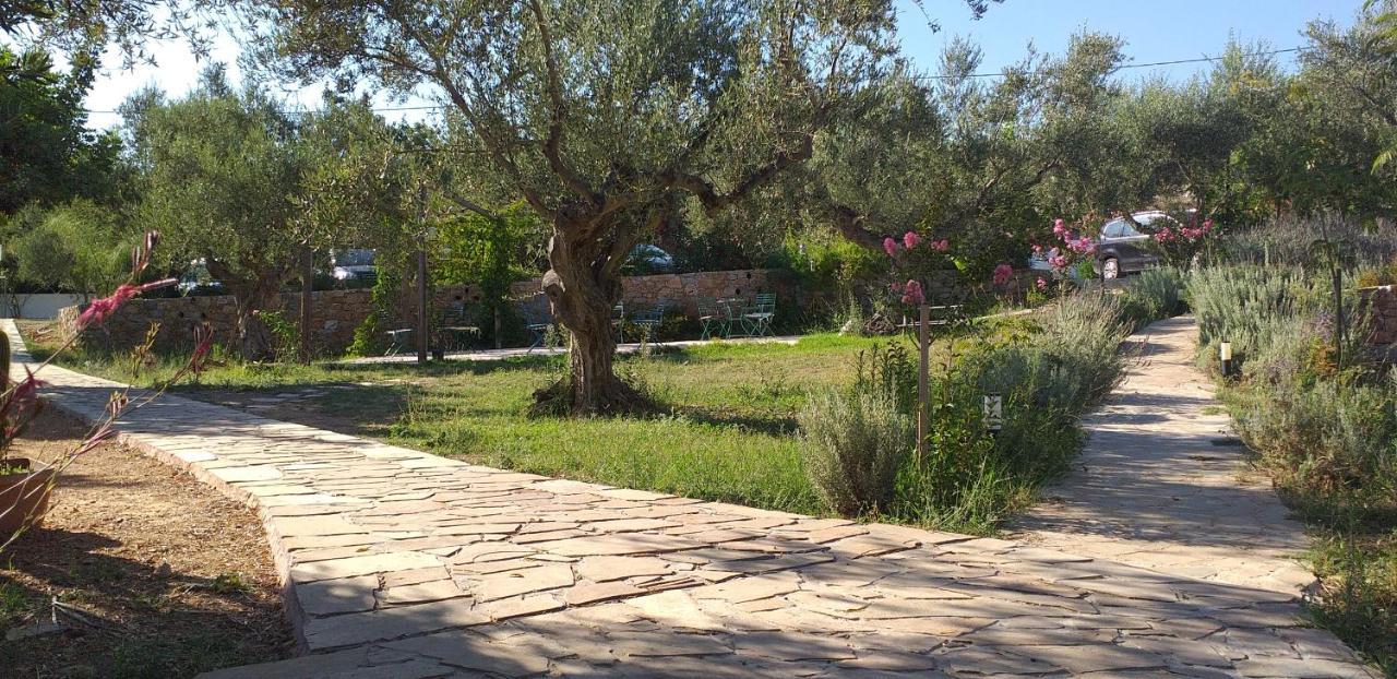 Kavoulakos Studios Skoutárion Dış mekan fotoğraf