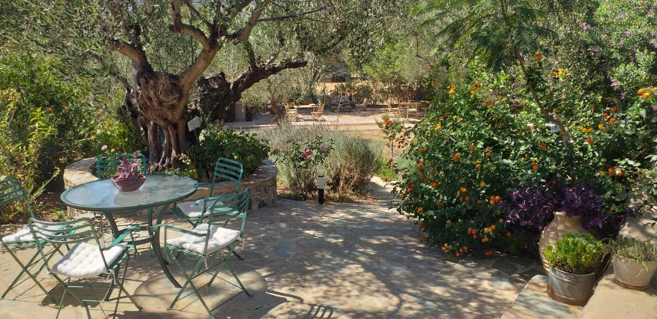 Kavoulakos Studios Skoutárion Dış mekan fotoğraf