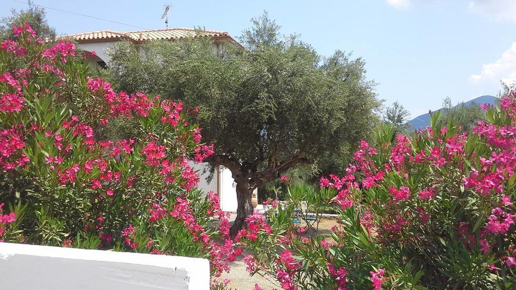 Kavoulakos Studios Skoutárion Dış mekan fotoğraf