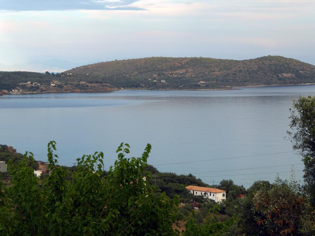 Kavoulakos Studios Skoutárion Dış mekan fotoğraf