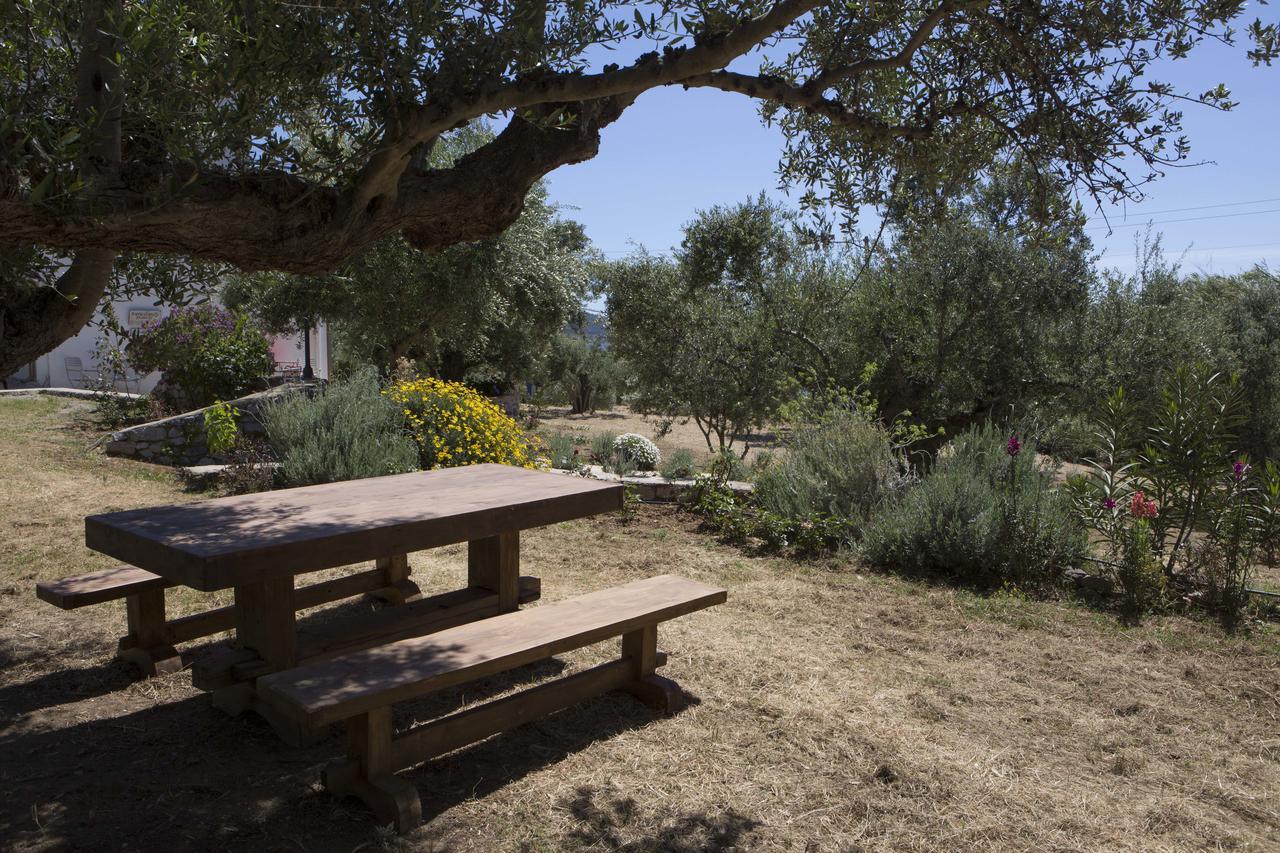 Kavoulakos Studios Skoutárion Dış mekan fotoğraf
