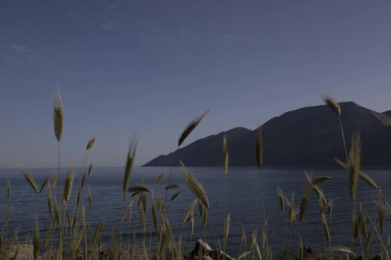 Kavoulakos Studios Skoutárion Dış mekan fotoğraf